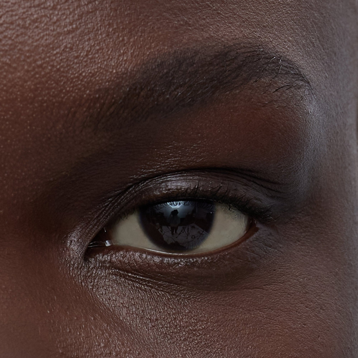 brownblack