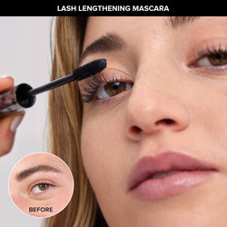 Brows & Lashes Kit