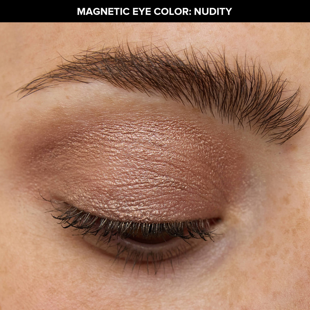Brows & Lashes Kit