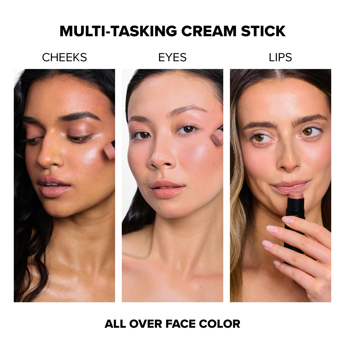 Pink Nude Blush Kit
